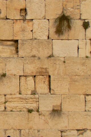 Whispers of History: The Wailing Wall