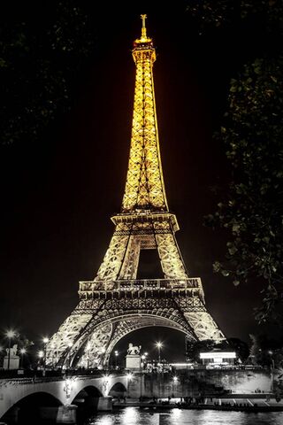 Golden Glow of the Eiff..