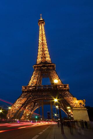 Twinkling Majesty: The ..