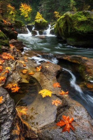 Autumn Serenity by the ..