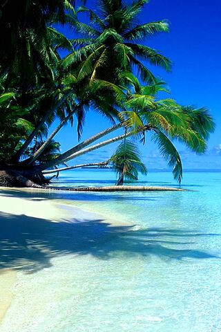 Playa tropical