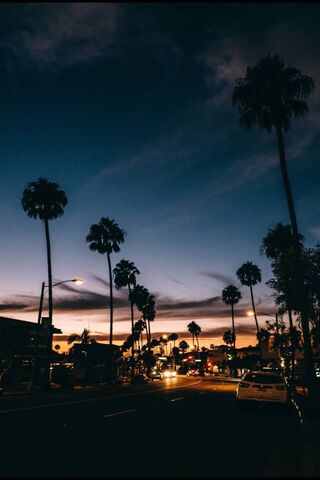 Twilight Bliss: A Sunse..