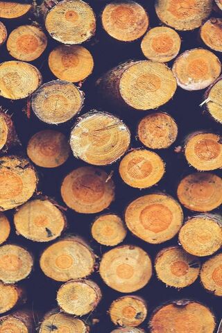 Iphone Wallpapers