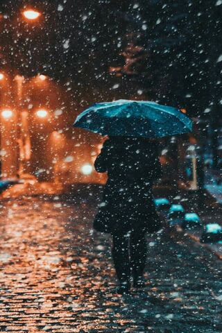 Whispers of Winter: A Snowy Stroll