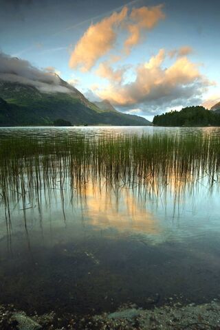 Serenity in the Fields of Reflection 🌅🌾