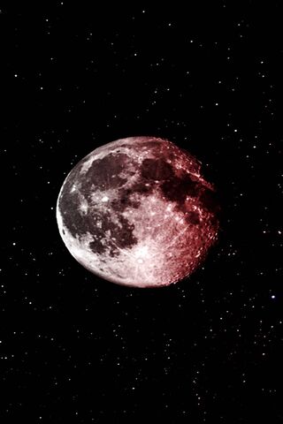 Crimson Dreams: A Night..
