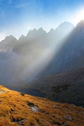 Golden Embrace of Nature