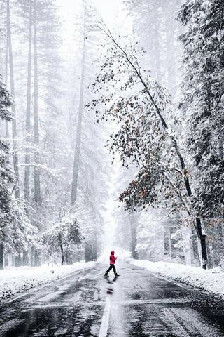 A Walk Through Winter Wonderland ❄️🌲