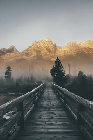 Whispers of the Wilderness 🌲🌄