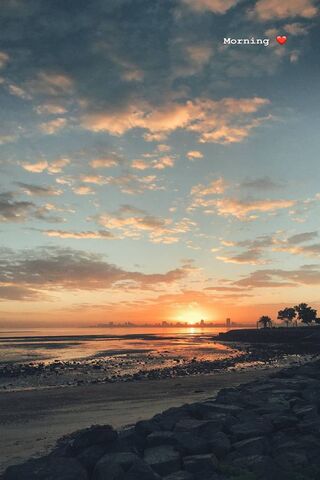 Awakening Bliss: A New Day Begins 🌅