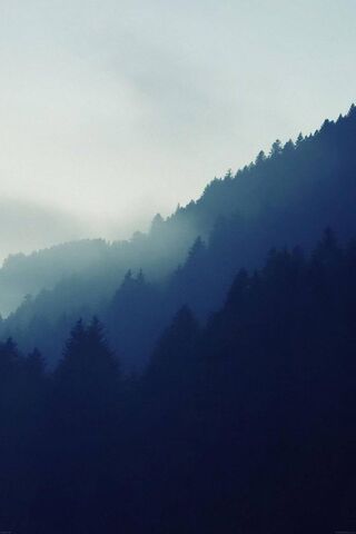 Whispers of the Mountain Peak 🌄✨