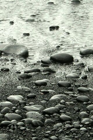 Pebbles by the Shore 🌊✨
