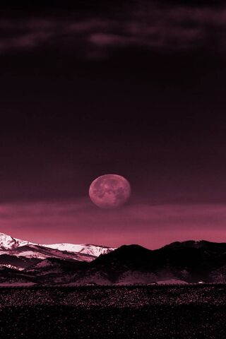 Mystical Night: The Enc..