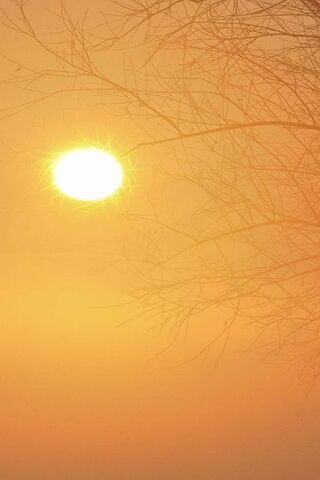 Golden Glow: Embracing ..