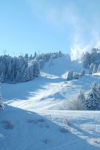 Winter Wonderland: The ..