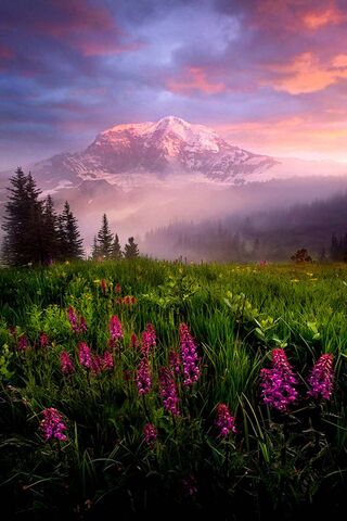 Majestic Winter Dawn 🌄❄️