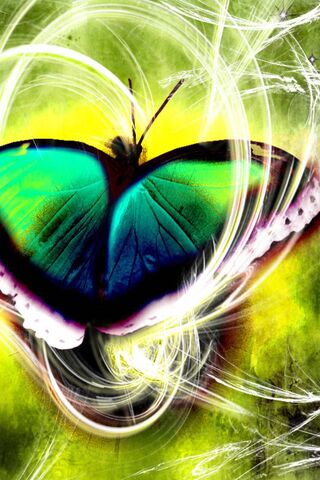 Vibrant Wings: Nature's Artistry 🦋✨