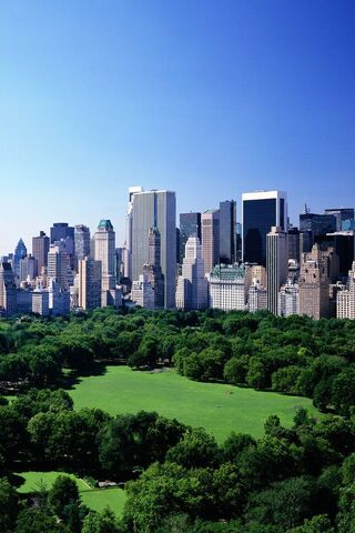 Sunny Days in the City 🌞🏙️