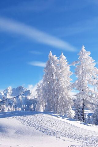 Frozen Serenity: A Winter Wonderland ❄️🌨️