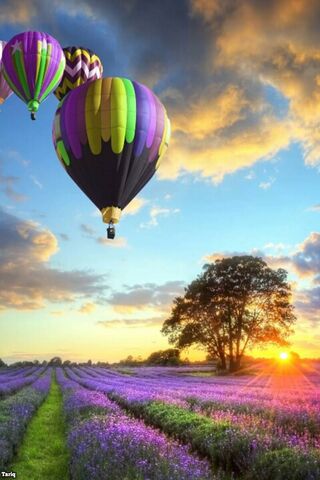 Tariq's Colorful Skies: A Balloon Adventure 🌈🎈