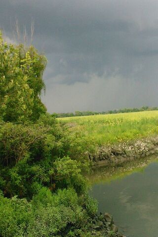 Nature's Dramatic Canvas: The Cons Storm Cloud