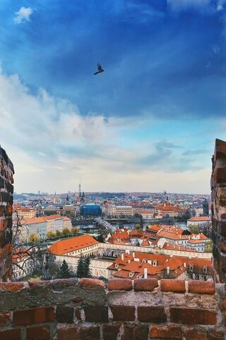 Majestic Views from Prague Castle 🏰✨