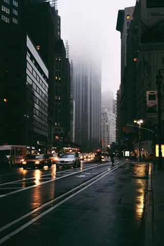 Misty Mornings in the B..