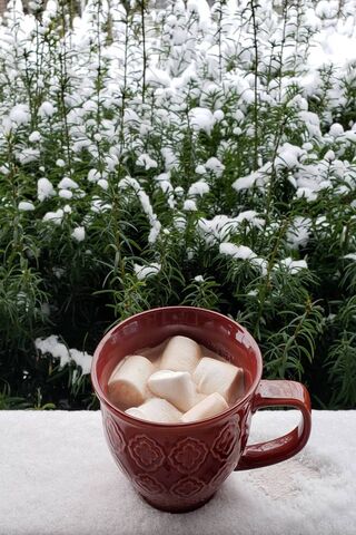 Cozy Winter Indulgence ☕❄️