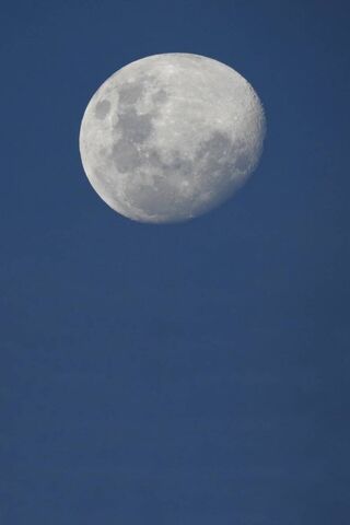 Lunar Magic: The Enchanting Glow of Luna Eclipse 🌙✨