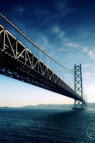 Bridging Horizons 🌉✨