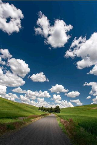 Journey Through the Sky