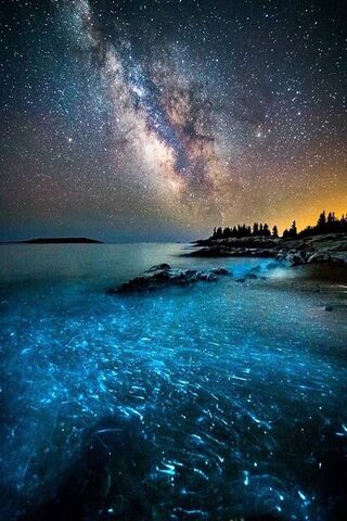 Celestial Glow: Nature's Nightlight 🌌✨