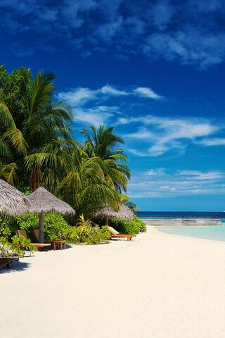 Tropical Paradise Escape 🌴✨