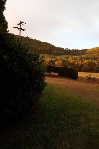 Golden Hour Serenity