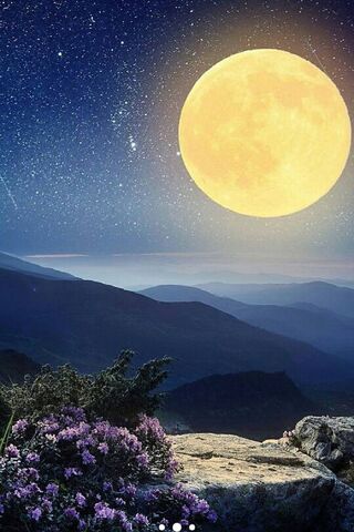 Moonlit Serenity 🌙✨