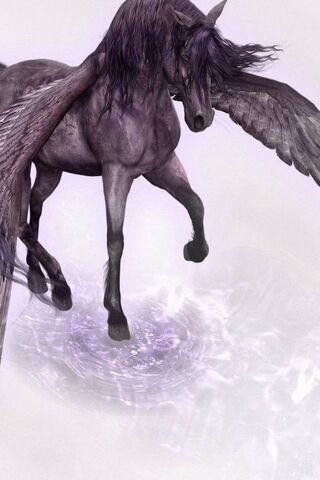 Paige: The Enchanted Winged Steed 🦄✨