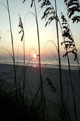 Topsail Beach Nc