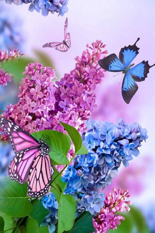 Spring's Colorful Awake..
