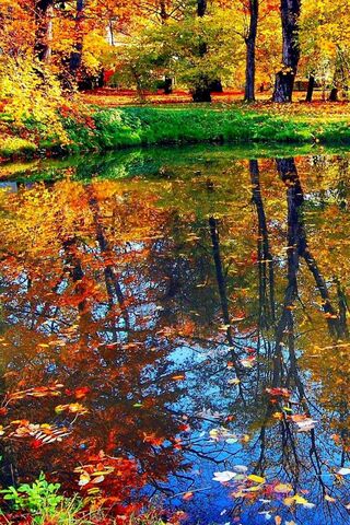 Autumn Reflections 🍂✨