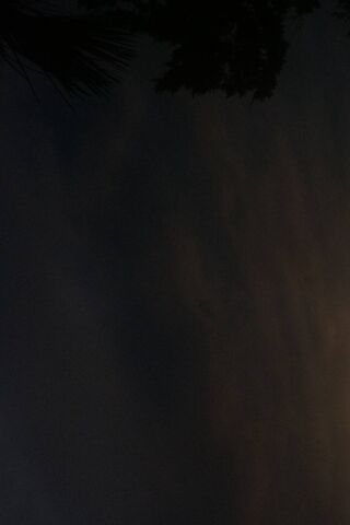 Twilight Reflections by the Riverside 🌅