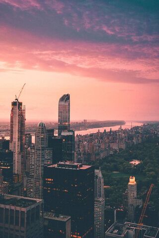 Twilight Over the Urban Jungle 🌆✨