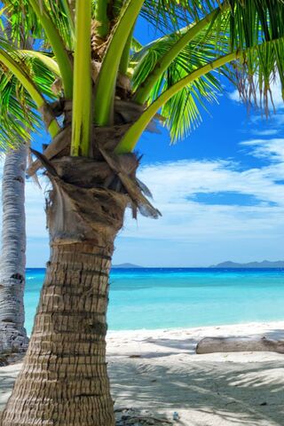 Tropical Paradise Await..