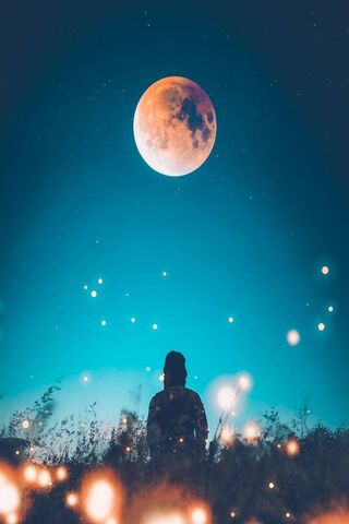 Lunar Dreams: A Night U..