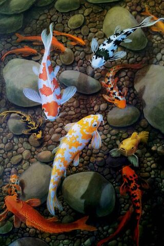 Underwater Harmony: The..