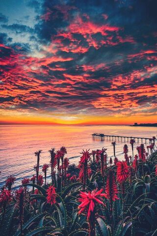 Fiery Horizon: Nature's Canvas 🌅🔥