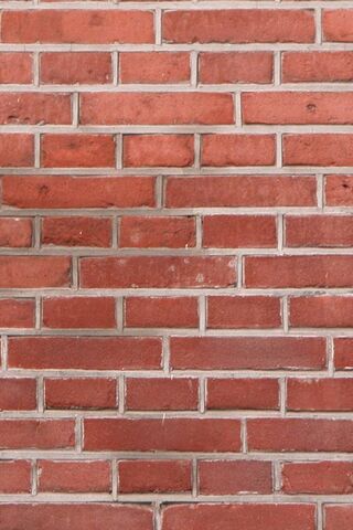 Brick by Brick: The Story of Resilience