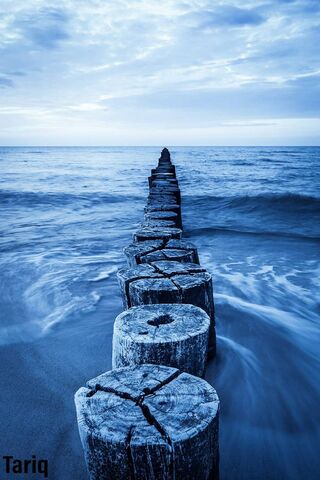 Serenity by the Shore: ..