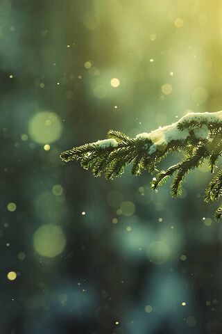Snow