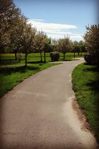 Pathway to Discovery 🌳✨