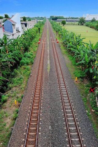 Journey Through the Green: A Rail Road Adventure 🚂🌿